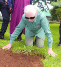 Jane Goodall Plants ABCP Mpingo Seedling