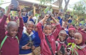 Replanting the African Blackwood Tree in Tanzania