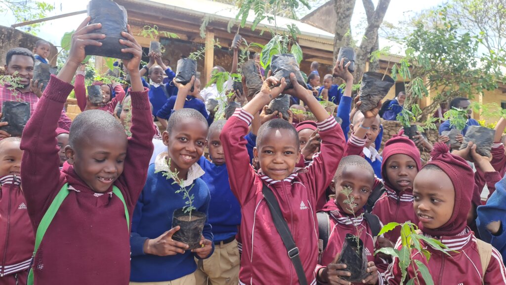 Replanting the African Blackwood Tree in Tanzania