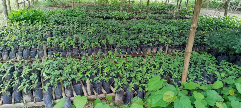 Train 1,500 Youth Climate Guardians in Liberia