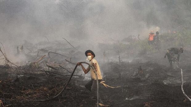 Borneo Wildfire Emergency Relief Fund