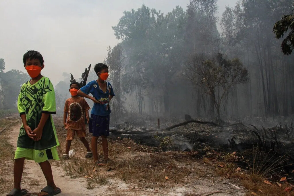 Borneo Wildfire Emergency Relief Fund