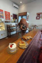 Cindy taking photos for her photography business