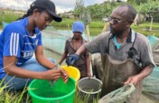Help 50 Rwandan Families Farm Fish