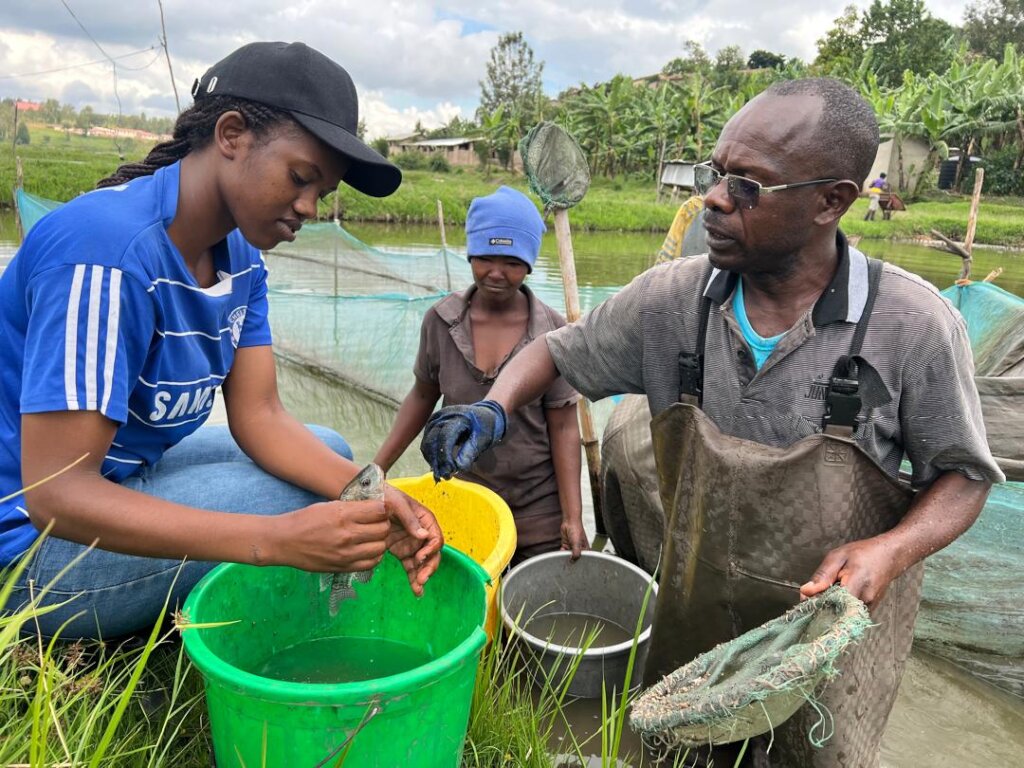Help 50 Rwandan Families Farm Fish