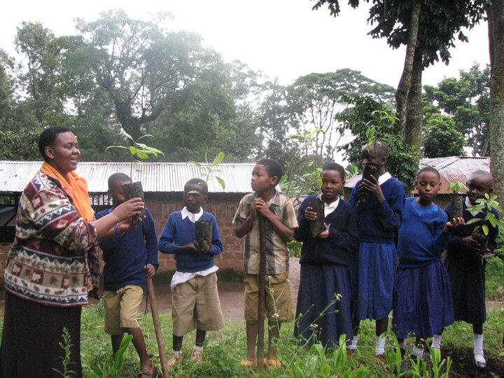 Land Remediation on Mt. Kilimanjaro in Tanzania