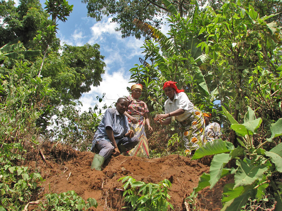 Land Remediation on Mt. Kilimanjaro in Tanzania