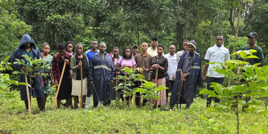 Land Remediation on Mt. Kilimanjaro in Tanzania