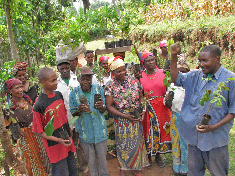 Land Remediation on Mt. Kilimanjaro in Tanzania