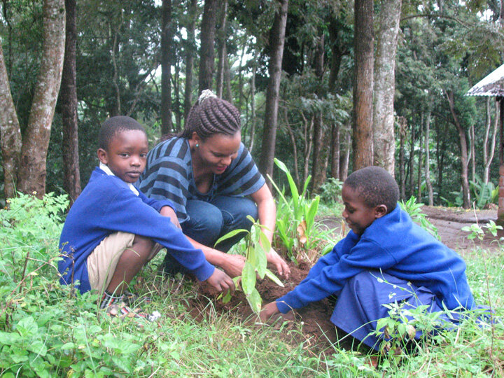 Land Remediation on Mt. Kilimanjaro in Tanzania