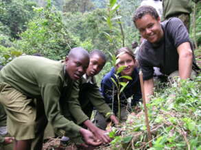 Kilimanjaro Students Planting Trees on Mountain