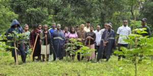 Replanting the slopes of the Lombanga River