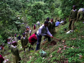 Land Remediation on Mt. Kilimanjaro in Tanzania