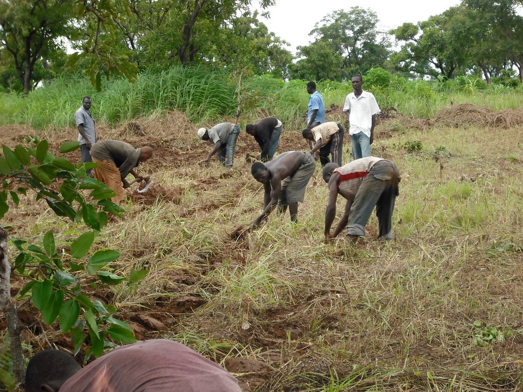 RISE (Rural Irrigation System for Ekumdipe)