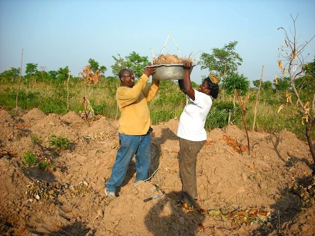 RISE (Rural Irrigation System for Ekumdipe)