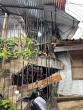 Earthquake damage in Buenaventura