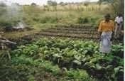 IDE Worldwide Water Technology Dissemination