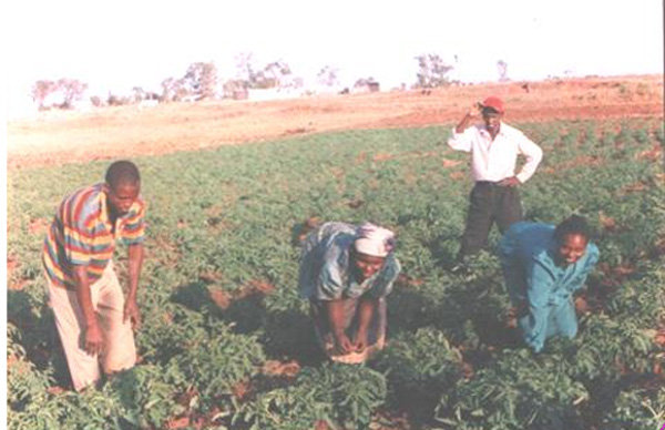 Help 300 African Women Entrepreneurs fight poverty
