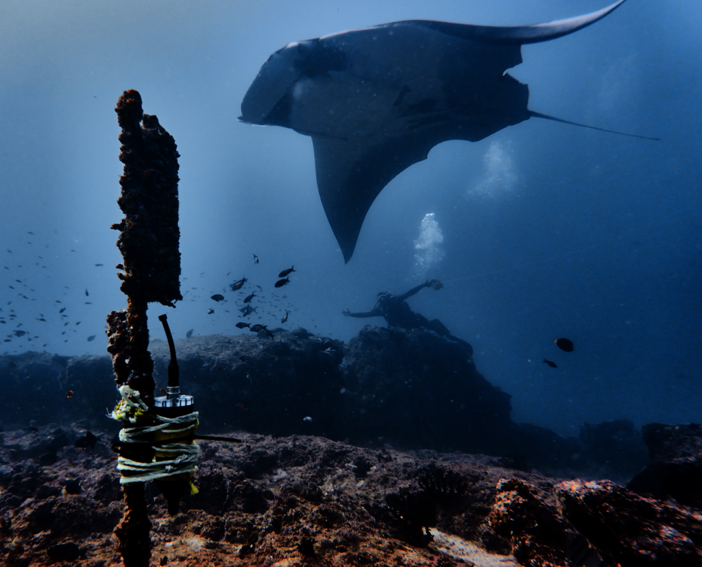 Underwater equipment for Marine conservation