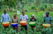 Empower indigenous people in South-Kivu DRC