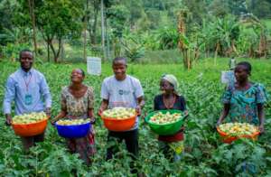 Empower indigenous people in South-Kivu DRC