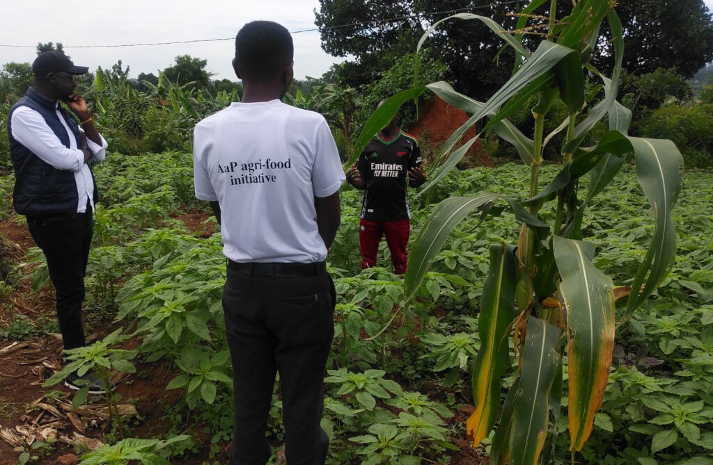 Support 14 schools integrate agribusiness skills