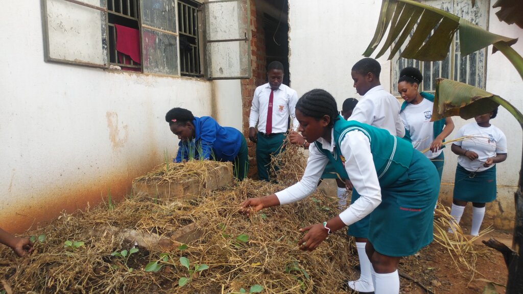 Support 14 schools integrate agribusiness skills