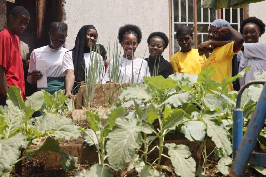 Support 14 schools integrate agribusiness skills