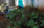 Support 14 schools integrate agribusiness skills