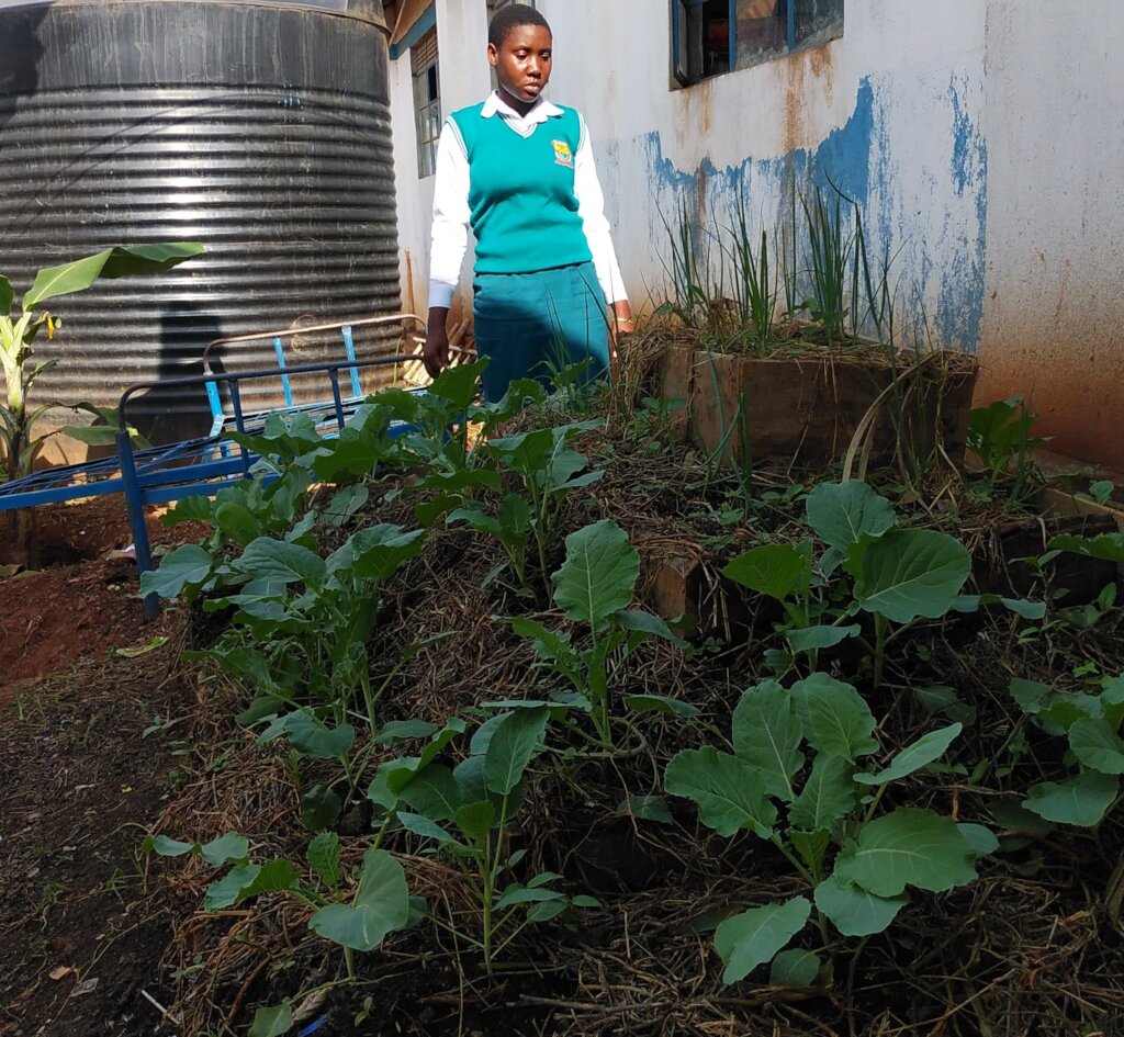 Support 14 schools integrate agribusiness skills