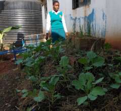 Support 14 schools integrate agribusiness skills