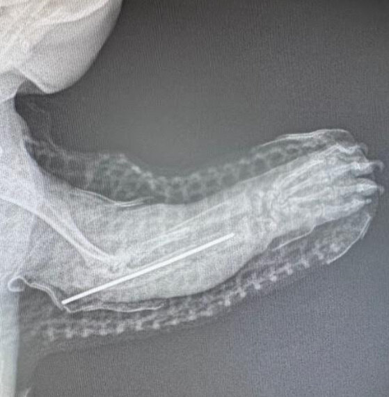 XRAY Machine for Oaken Acres Patients