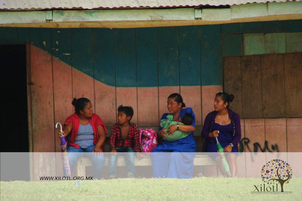 "Migracion: raices de pertenencia Selva Lacandona"