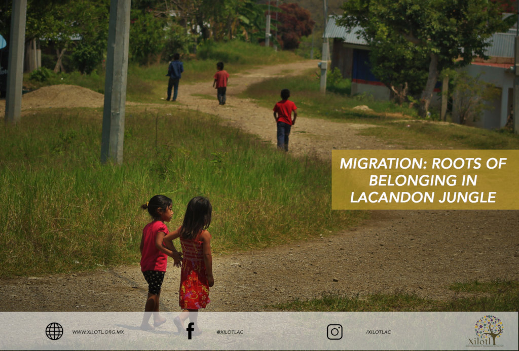 "Migracion: raices de pertenencia Selva Lacandona"
