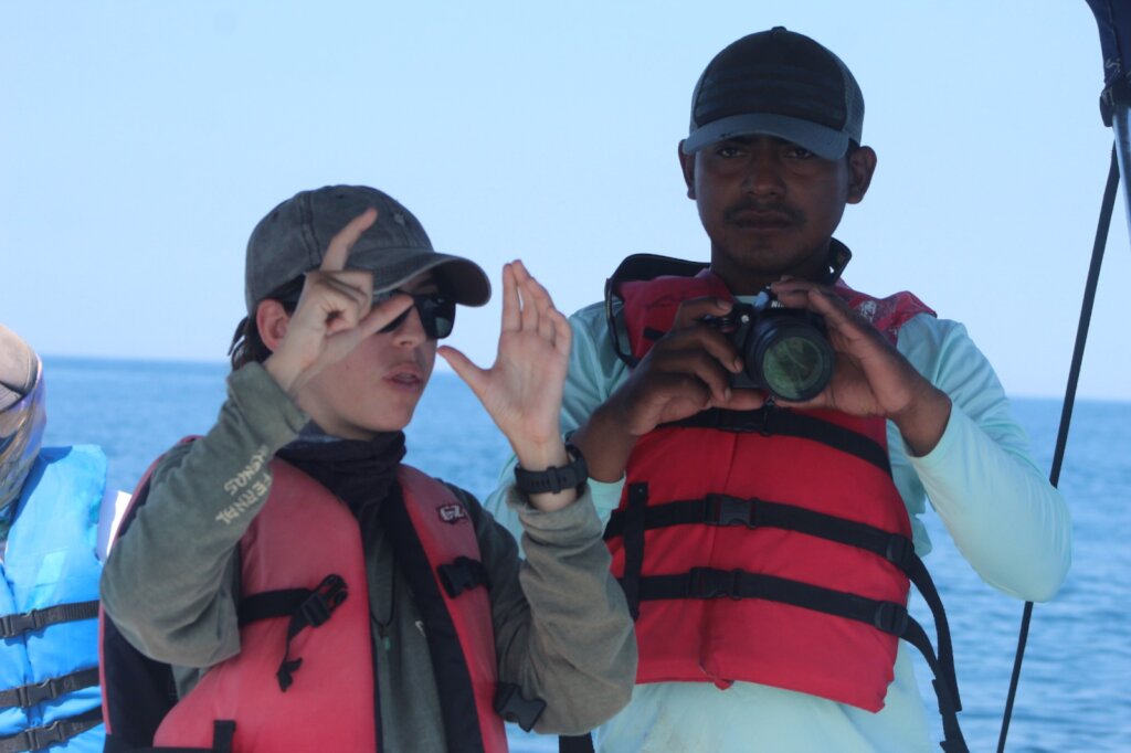 Women for Whale Protection
