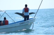 Women for Whale Protection