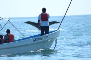 Women for Whale Protection