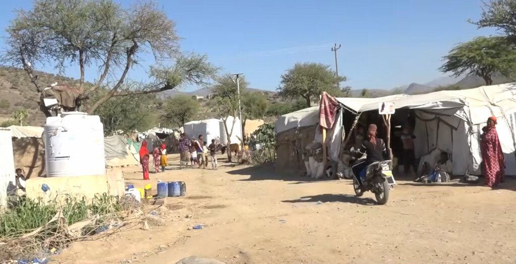 Emergency Relief for 917 Displaced Families -Taiz