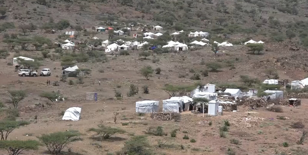 Emergency Relief for 917 Displaced Families -Taiz