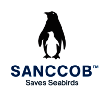 SANCCOB logo