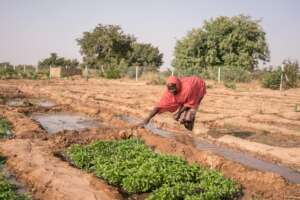 A young lady farming in a drought affected regions