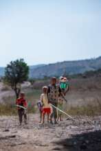 Displaced children wandering about the bush