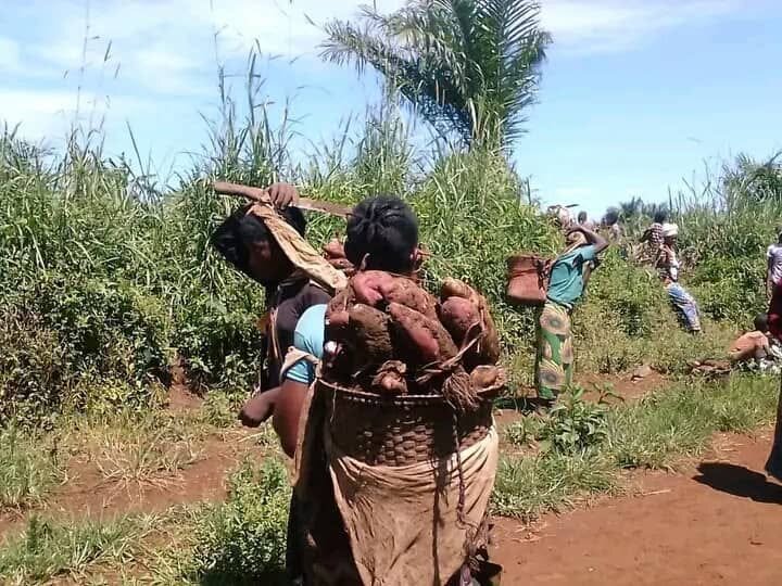 Stand With Indigenous Women in Congo