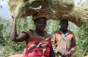 Build homes for an impoverished Rwandan community
