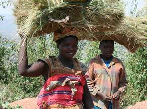 Build homes for an impoverished Rwandan community
