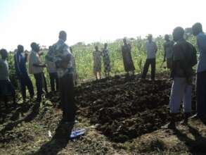 Farmer field school session
