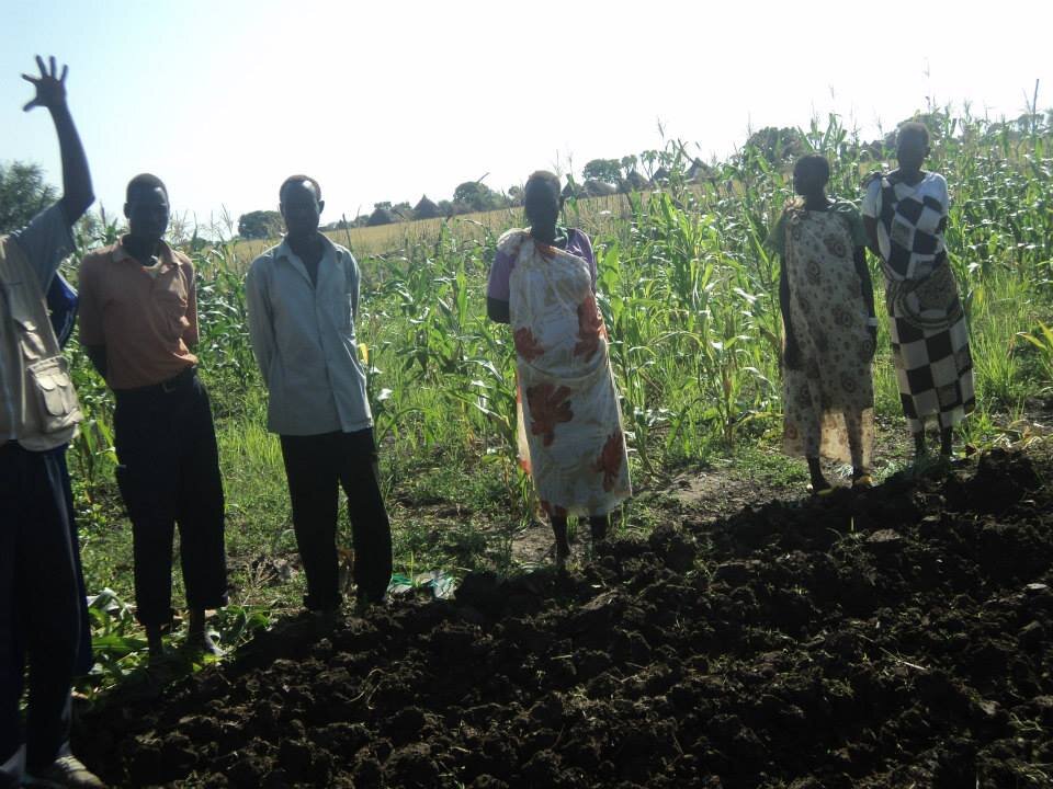 Farmer Field School in session