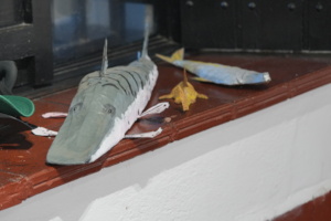 Fishes in carton
