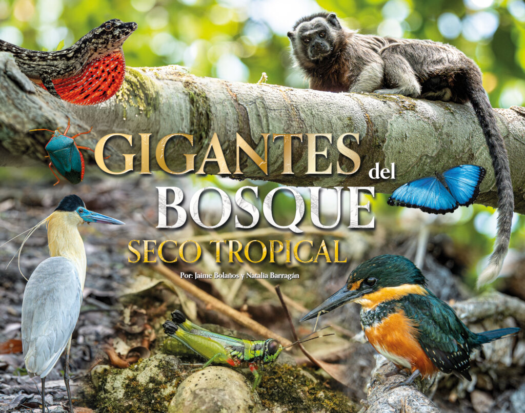 Save Wildlife & Magdalena Tinamou in Colombia
