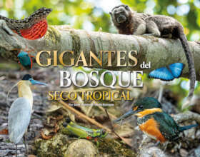 Nuestro tercer libro